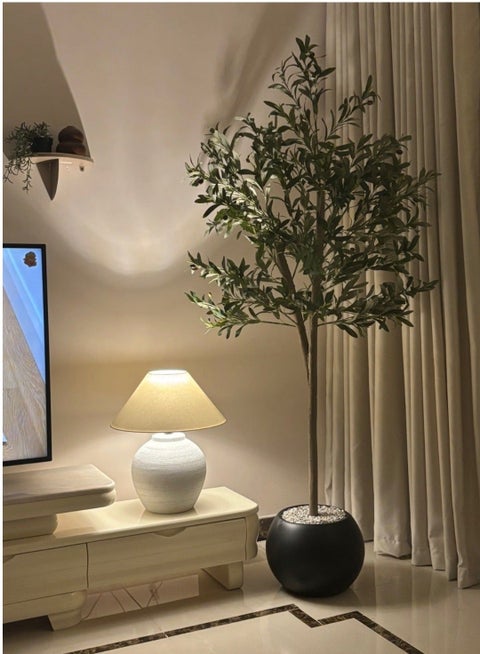 A fruitful olive tree with a large, attractively designed black pot. Make your home more elegant. Dimensions: 180cm x 150cm x 220cm x 100cm